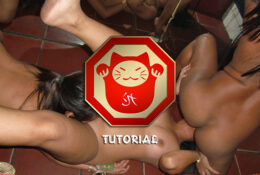 Try It Out For Yourself – Intro